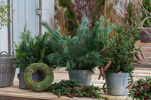 Adventsdeko auf Terrasse mit Kiefernzweigen und Fichtenzweigen und Adventskranz auf Terrasse