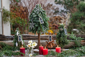Minichristbäumchen gesteckt aus Zweigen der  Kanadischen Hemlocktanne (Tsuga canadensis) und Stech-Fichte (Picea pungens, Christrose (Helleborus Niger) in Vase, und Kerzen, Weihnachtsdeko auf der Terrasse