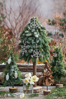 Minichristbäumchen gesteckt aus Zweigen der  Kanadischen Hemlocktanne (Tsuga canadensis) und Stech-Fichte (Picea pungens, Christrose (Helleborus Niger) in Vase, Weihnachtsdeko auf der Terrasse