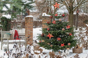 Geschmückter Christbaum im verschneiten Garten mit Gartenbank und Hund