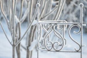 Ziergitter im winterlichen Garten mit Eiskristallen, close-up