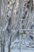 Garten im Winter, Zweige und Gestell mit Eiskristallen angefroren bei Rauhreif, close-up