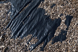 Landscaping woodchips covering black plastic tarpaulin.