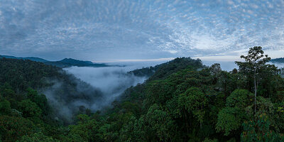 Luftaufnahme von The Cloudforest, Mashpi, Reserva Mashpi Amagusa, Pichincha, Ecuador, Südamerika