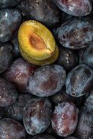 Plums (Close Up)