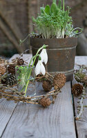 Snowdrops (Galanthus) in a vase, cress in a pot and a wreath of larch twigs