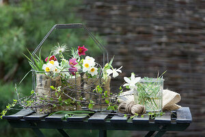 DIY-Vasen aus Weckgläsern und Sackstoff mit Frühlingsblumen im Flaschenkorb, Küchenschelle (Pulsatilla) und Narzissen (Narcissus)