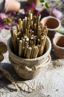 Stalks of winter grass in a clay pot