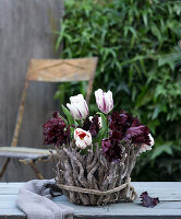 Tulpen (Tulipa) im Gefäß, ummantelt mit knorrigen Zweigen