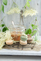 Macarons und Rhabarber-Holunder-Gelee