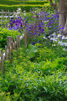 Cottage garden with wooden fence, vegetables and flowers