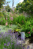 Bunter Staudengarten mit Lavendel und Gießkanne am Steinweg