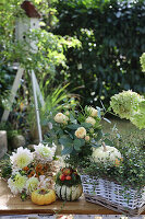 Herbstliche Deko mit Kürbissen, Chrysanthemen, Rosen, Mühlenbeckia, im Hintergrund Taubenhaus und Gräser