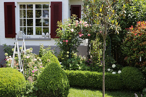 Vorgarten mit Rosen, Buchs und Rankhilfen