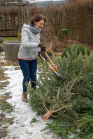 Disassemble the cleared Christmas tree and use the branches to cover against severe frosts in January or February