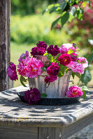 Rosa Blüten der Gallicarose (Rosa gallica) 'Versicolor' und 'Nuit de Young' in Etagere aus Töpfen und Kuchenform