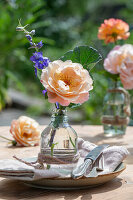 Kleinstrauchrose 'Cubana' (Rosa), Beetrose 'Tequila' und Rittersporn, einzelne Blüten in Vasen auf gedecktem Gartentisch