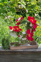 Weiße Büschelrose (Rosa multiflora) und rote Gallicarose (Rosa gallica) 'Scharlachglut' in Vase auf Terrassentisch