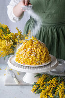 Mimosa cake