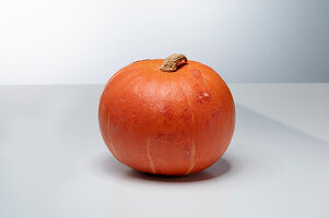 Gustar F1 (pumpkin variety)