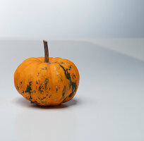 Jack be Little (pumpkin variety from France)