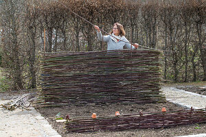 Frau bei Gartenarbeit, Weidenzaun flechten für Kletterpflanzen als Rankhilfe