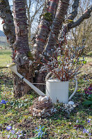 Eier in Osternest und Palmkätzchen (Salix caprea) in alter Gießkanne im Garten, Osterdekoration