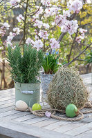 Traubenhyazinthe 'Mountain Lady' (Muscari), Rosmarin im Topf und Heu mit Ostereiern