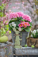 Hortensien (Hydrangea), Hornveilchen (Viola Cornuta) und Primeln (Primula) im Topf mit Osterdekoration