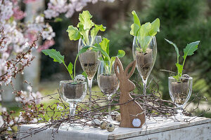 Lettuce leaves and kohlrabi leaves in jars with twigs, Easter bunny figurine and quail eggs on garden table