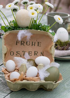 Flower pot with daisies, Easter eggs in egg carton with feathers and Easter greeting