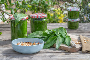 Ingredients to make your own wild garlic pesto from wild garlic, pine nuts in a bowl, pesto in jars, leaves and nuts on a chopping board