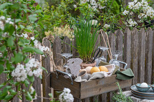 Chives in a pot with Easter eggs, crockery and blanket in a picnic box hanging on the garden fence in front of a rock pear