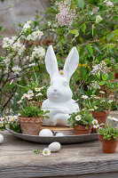 Daisies (Bellis) in small flower pots, hen's eggs and Easter bunny figure on silver plate