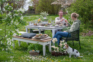 Young couple sitting at a laid table for Easter breakfast with Easter nest and colored eggs in egg cups, toasting with sparkling wine, daffodils and parsley in basket, with dog in garden