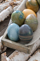 Easter eggs colored with natural dyes in a wooden box on birch branches
