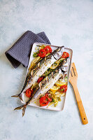 Mackerel on fennel and tomatoes
