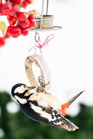 Woodpecker at the feeder