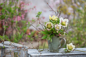 Spring rose hybrid 'White Spotted Lady' (Helleborus Orientalis), small bouquet in vase on garden table