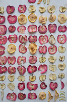 Surface of dried red and light-coloured apple slices