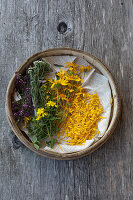 Quendel, yarrow, St John's wort and arnica