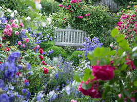 Flowering bed with roses and perennials in front of a wooden bench