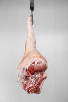 Raw pork shank hanging on a hook