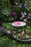 Miniteich mit schwimmenden Blüten in einem romantischen Garten