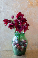 Amaryllis (Heppeastrum) in grüner Vase mit Weihnachtskugeln dekoriert