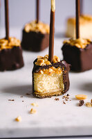 Cheesecake on a stick with chocolate icing