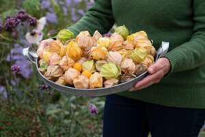 Frau hält Tablett mit Physalis