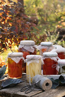 Eingemachte Paprika, Gurken, Tomaten in Gläsern auf herbstlicher Terrasse 