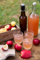 Frisch gepresster naturtrüber Apfelsaft