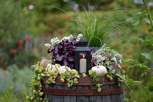 Herbstdekoration mit Kürbissen, Hopfen (Humulus), Äpfel und Kerze auf altem Weinfass im Garten